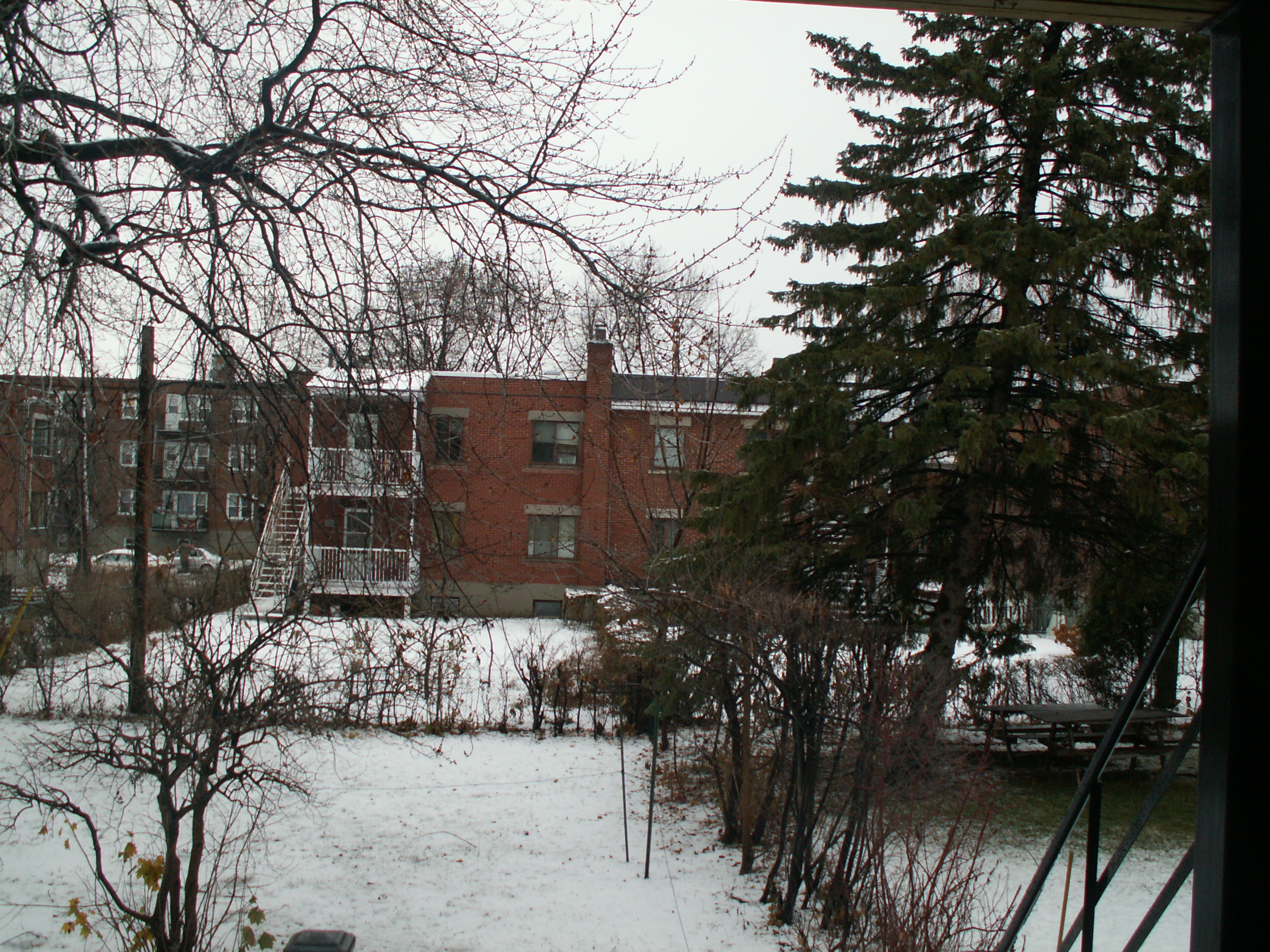 La première neige