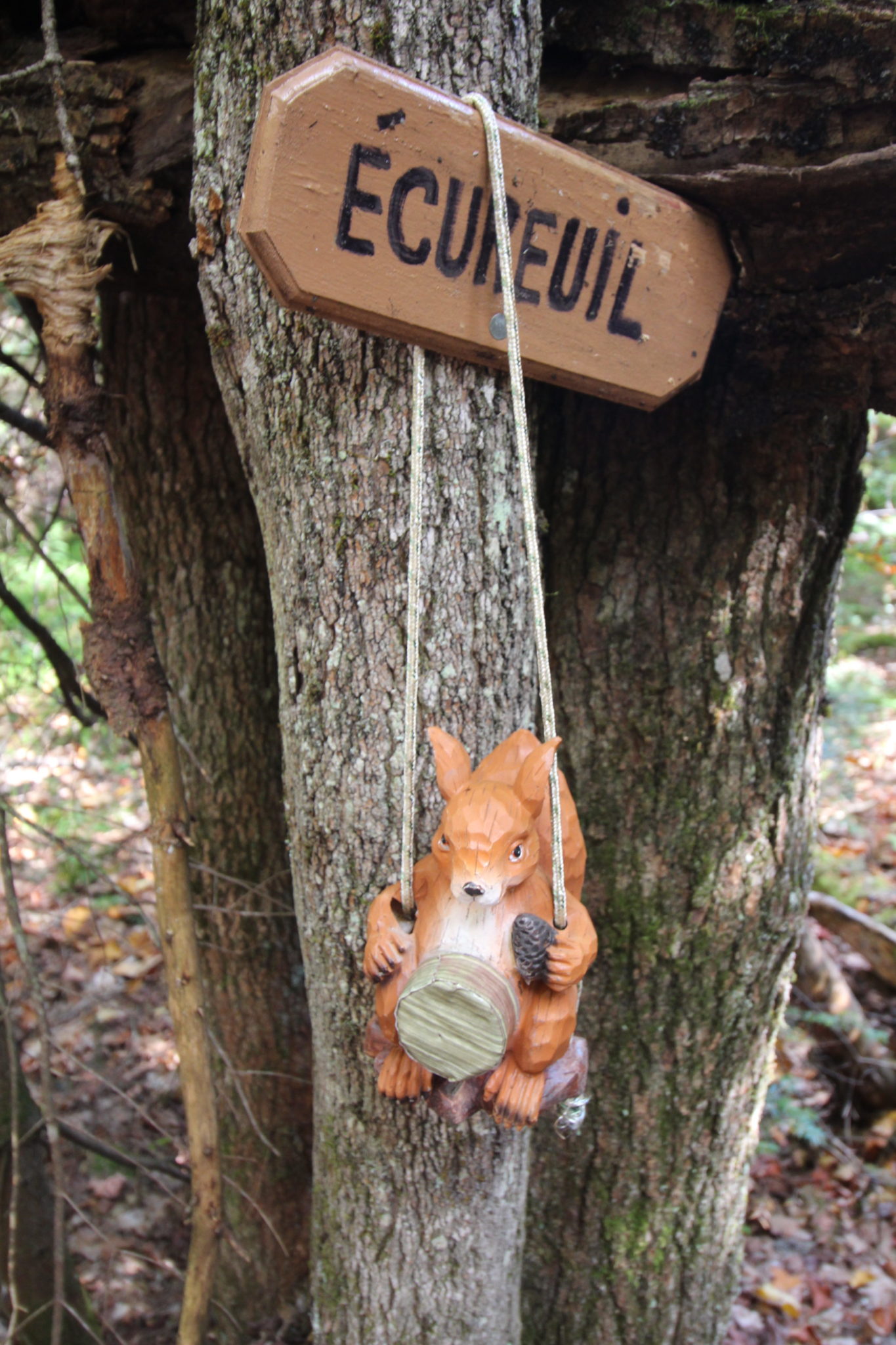 16 A LA CHASSE AUX TRESORS
