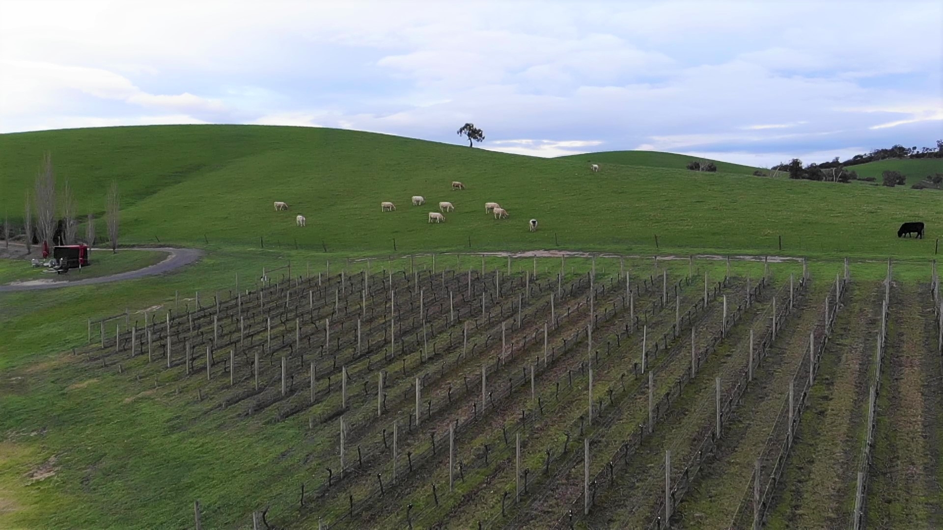 La Yarra Valley