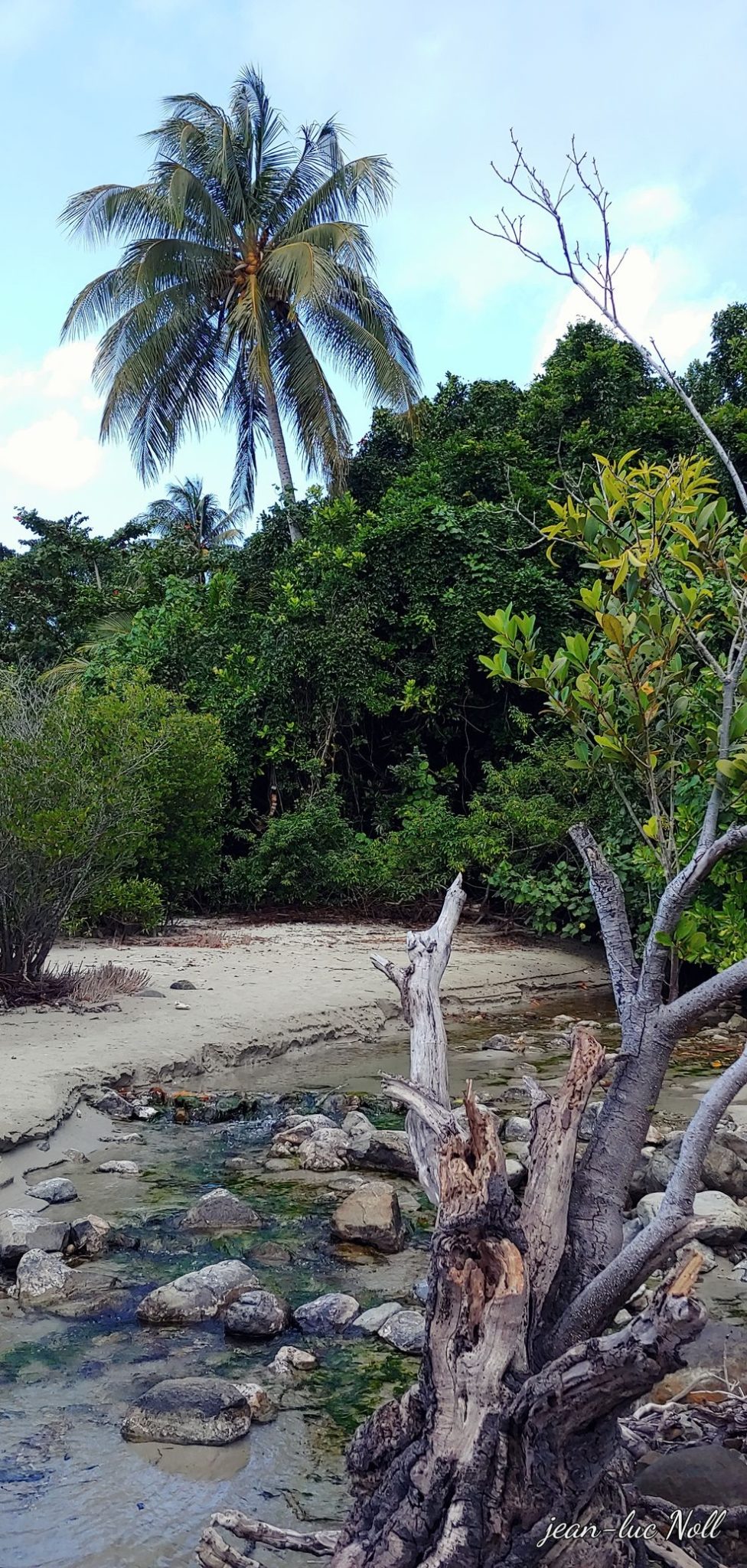 Australie – Queensland – Daintree forest & Cap Tribulation