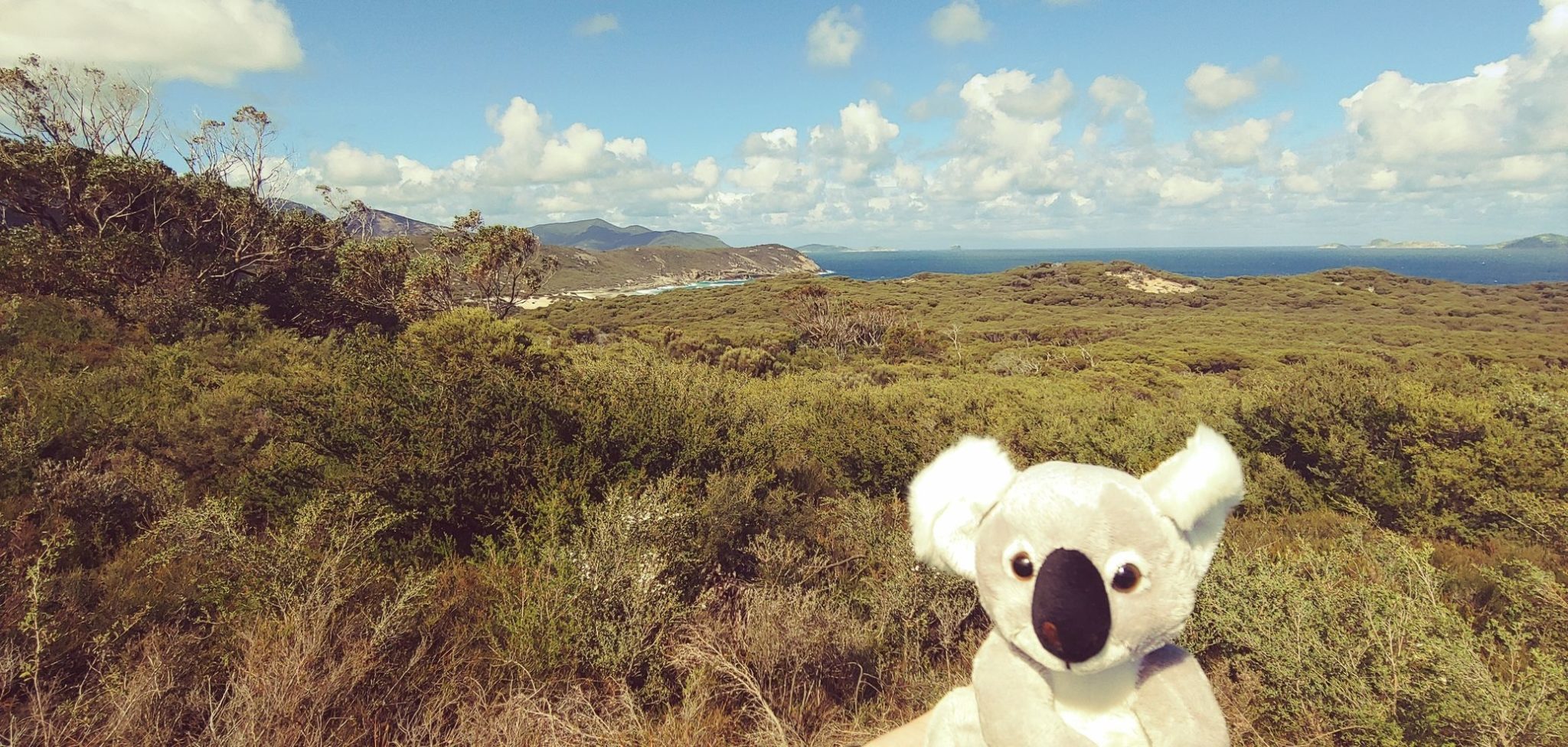 Australie – Victoria – 2 jours à Wilson Promotory