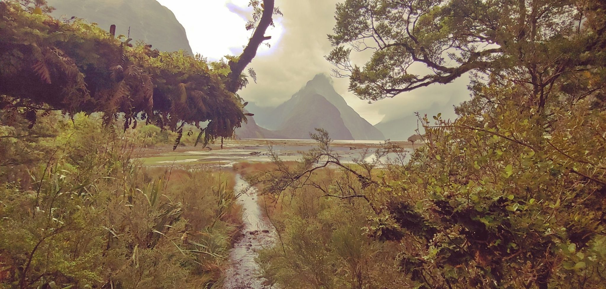 Nouvelle Zélande – île du Sud – Milford sound road