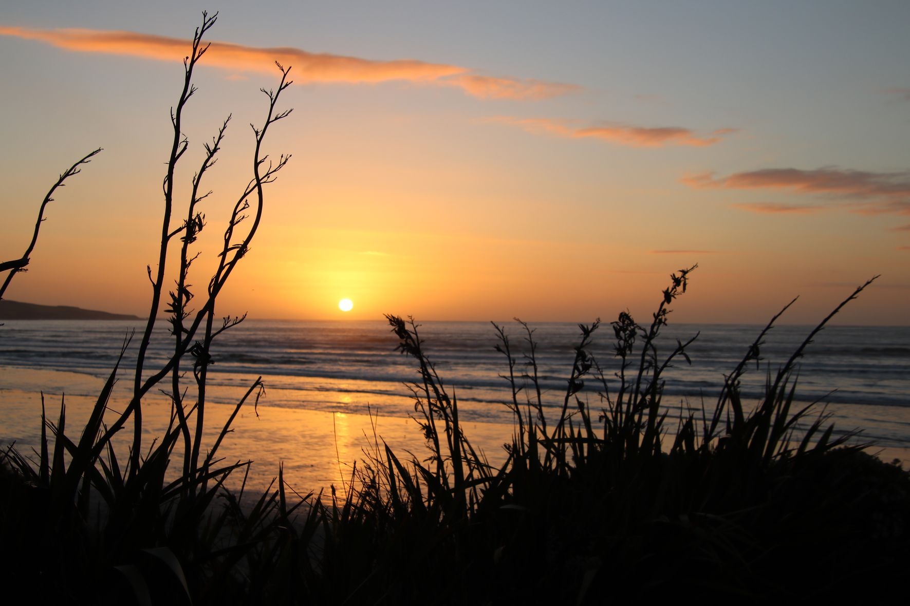 Nouvelle Zélande – île du Sud – les Catlins