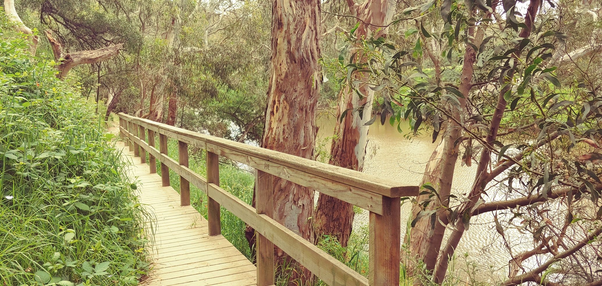 Australie – Victoria – Yarra bend park