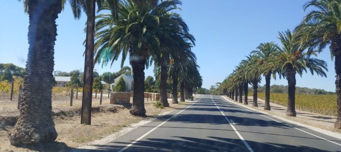 Melbourne – Adelaide – Melbourne : le bilan