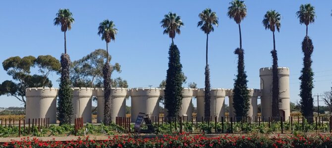 L’Australie-Méridionale – La Barossa Valley
