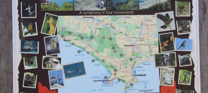 Australie – Victoria – la Great South West Walk