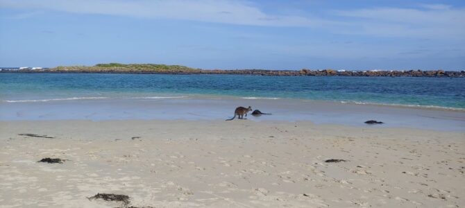 Australie – Victoria – Port Fairy