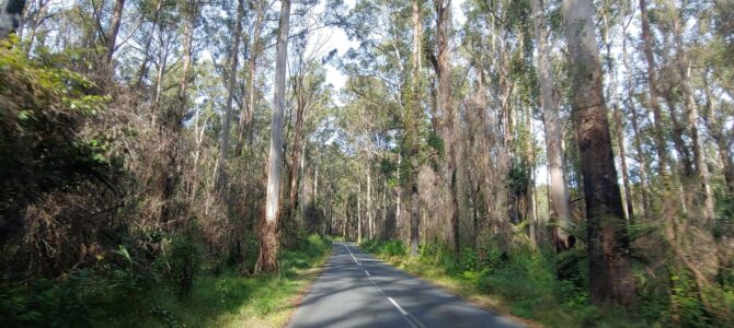 Australie – Melbourne – Sydney – Melbourne
