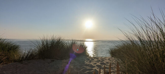 France – Aquitaine – 4 idées de randonnées sur le bassin d’Arcachon
